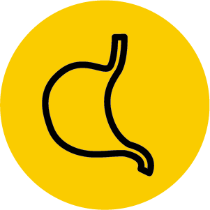 health-digestion.png