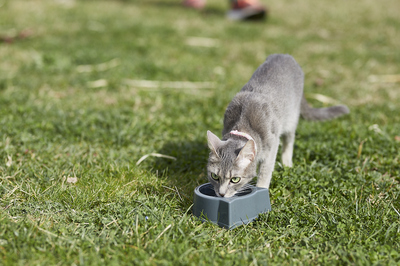 2018-03-07_34 (1).jpg