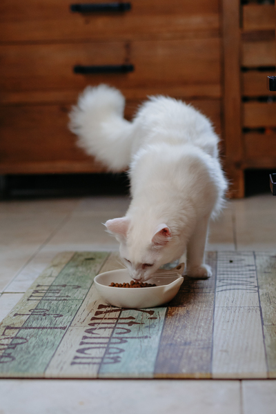 2024-07-03_A7102558 (2).jpg