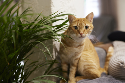 2024-09-17_LE_1948 (1).jpg