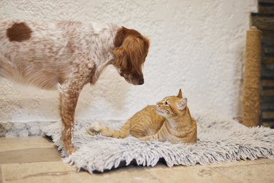 2024-09-17_LE_2042 (1).jpg