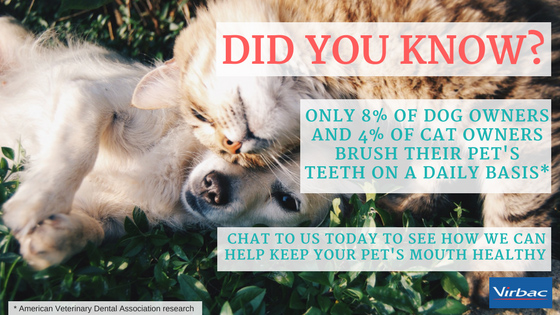 Did you know stats banner-1.jpg