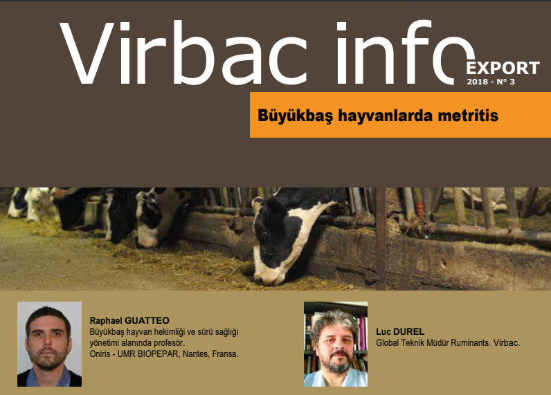 revize-VB18-ROE-Newsletter3-CattleMetritis-6 PDF (1).pdf