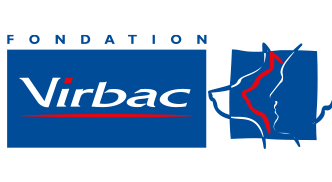 fondation2001.png