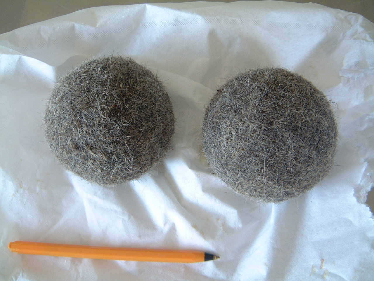 trikobezoar lice.JPG